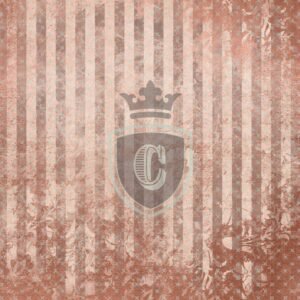Scrapbooking Paper - CSP00070
