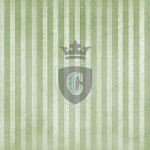 Scrapbooking Paper - CSP00135
