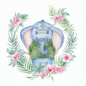 Waterslide Transfer - WDK00090