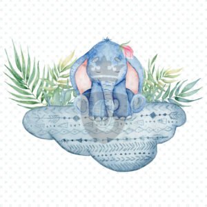 Waterslide Transfer - WDK00096