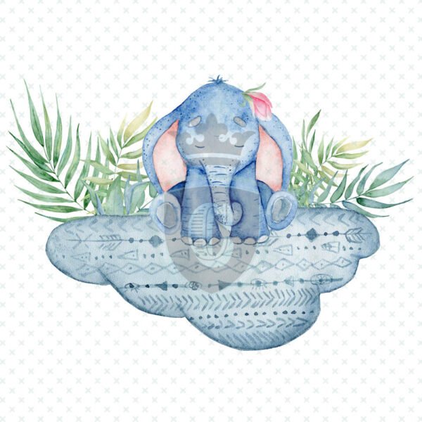 Waterslide Transfer - WDK00096