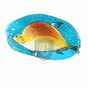 Waterslide Transfer - WDK00146