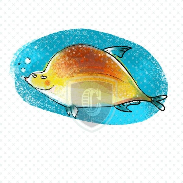Waterslide Transfer - WDK00146