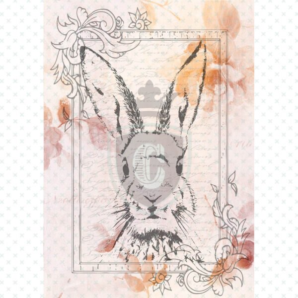 Waterslide Transfer - WDM00006