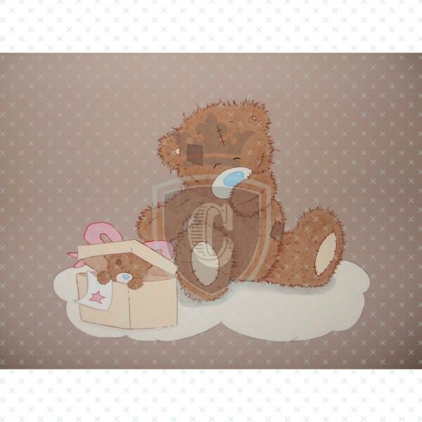 Waterslide Transfer - WDN00044