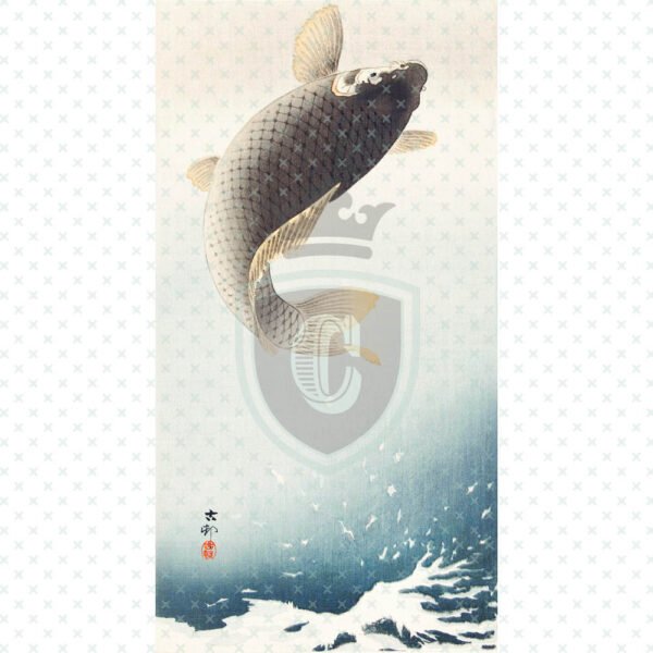 Waterslide Transfer - WDN00046