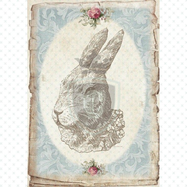 Waterslide Transfer - WDS00140